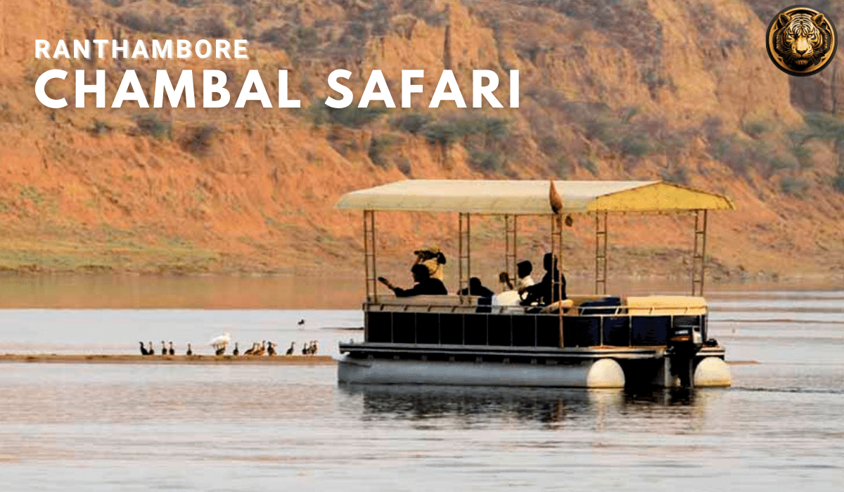 Ranthambore Chambal Safari