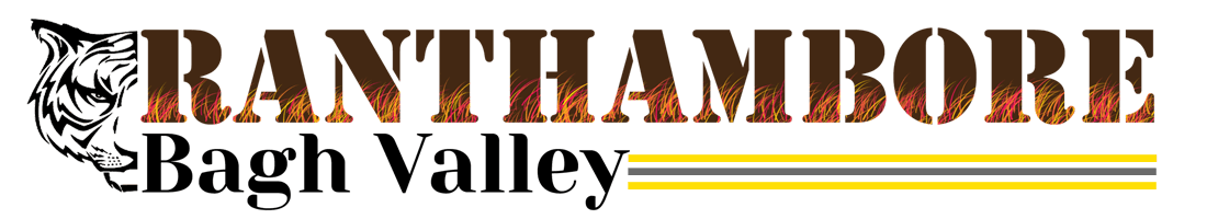 Ranthambhore Bagh Valley